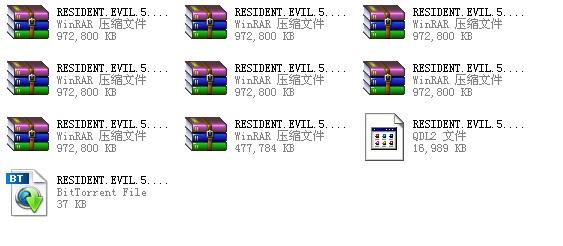 生化危机5必备补丁：安装方法与常见问题解决