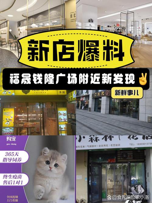 还在为钱发愁？过山车大亨2秘籍加钱方法大放送！