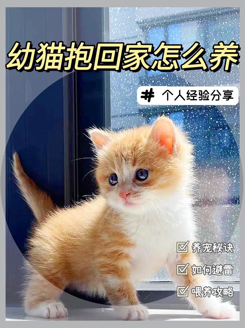 轩辕传奇幻弓技能全面解析:新手到高手进阶指南