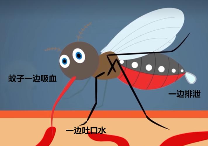 诅咒巨魔旧版技能大揭秘,吸血神技你还记得吗