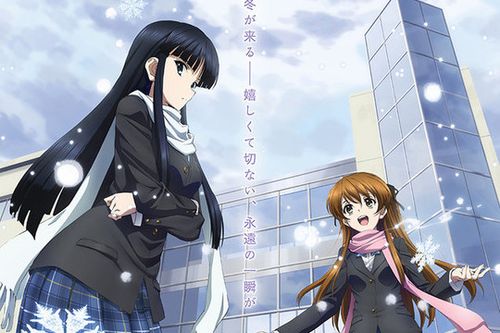 白相簿游戏：探索扣人心弦的爱情与复杂剧情