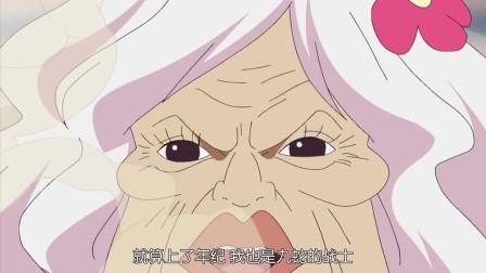 蛇姬被轮的秘密与传说解析