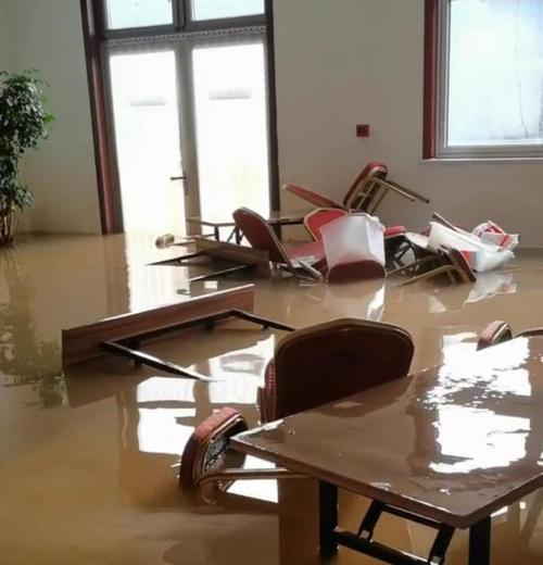 紧急！洪水包围蚂蚁庄园，这些逃生技巧你学会了吗？