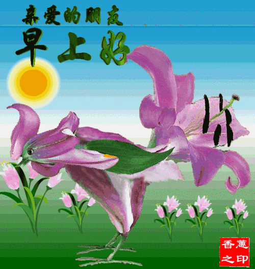 美动态XOXO动态图下载