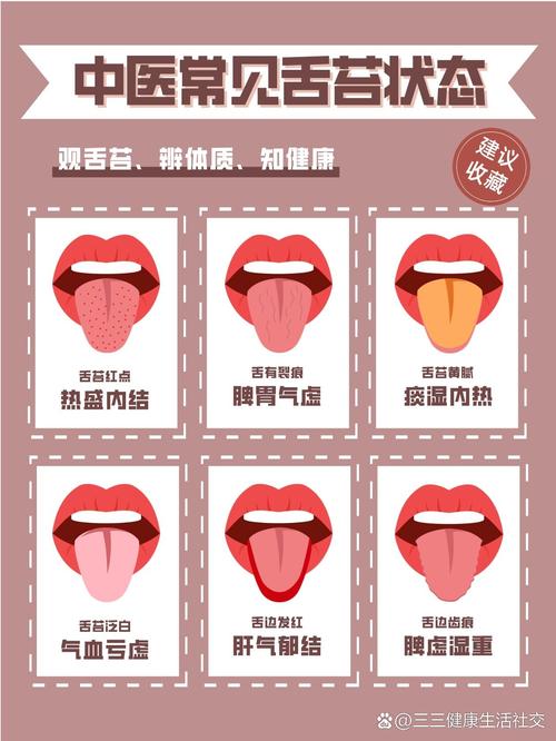 斗豆:体质与健康新知,助你判断身体寒热状态