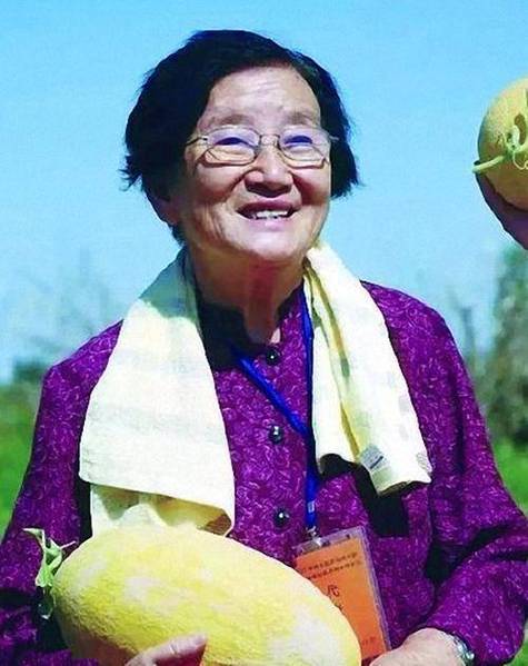 甜瓜大王是吴明珠还是李登海?揭秘答案与背后故事