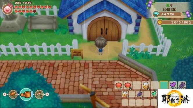 牧场物语矿石镇惊现小偷!真相竟然是这样?