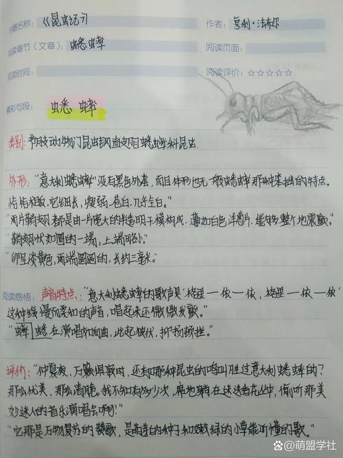 深入了解蟋蟀科：昆虫纲中的跳跃高手