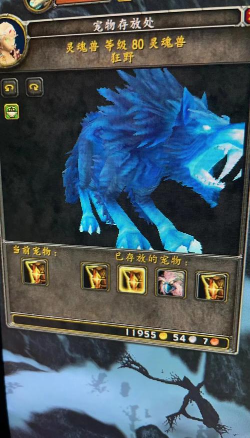 魔兽世界灵魂兽插件怎么用？新手一看就会的教程！