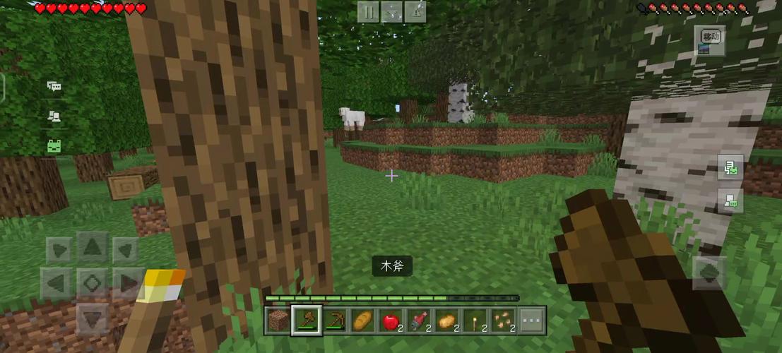 我的世界ipad版攻略哪里有？这里干货满满！