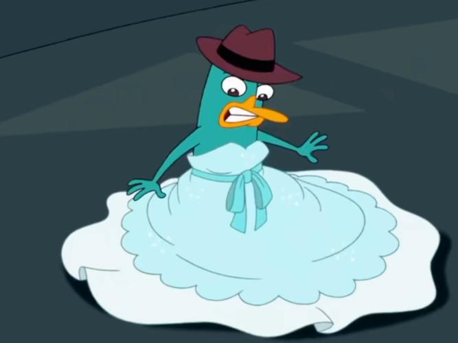 鸭嘴兽的逆袭之路：这种神奇动物你了解多少？