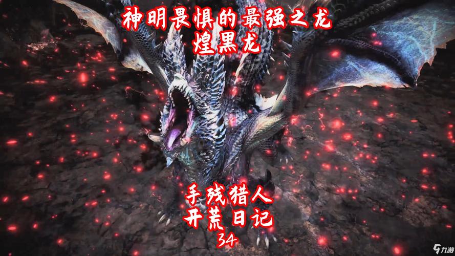 黑龙守护者任务怎么做?高手带你轻松完成挑战!