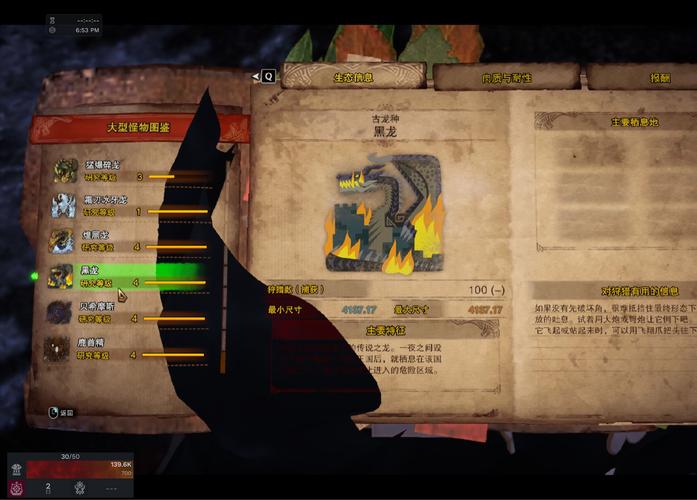 黑龙守护者任务怎么做?高手带你轻松完成挑战!