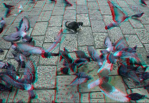 霹雳小组3d电影哪里能看？高清资源速速收藏！