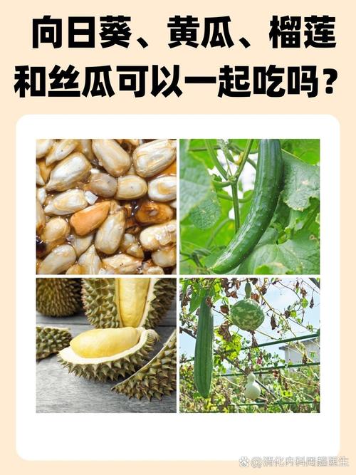 秋葵茄子丝瓜香瓜榴莲大全，营养价值大比拼看这里！
