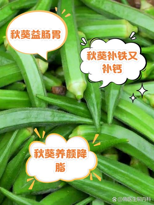 秋葵茄子丝瓜香瓜榴莲大全，营养价值大比拼看这里！