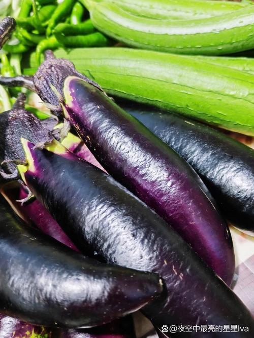秋葵茄子丝瓜香瓜榴莲大全，营养价值大比拼看这里！