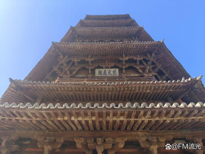 青松奇迹：从默默无闻到广为人知的秘密！