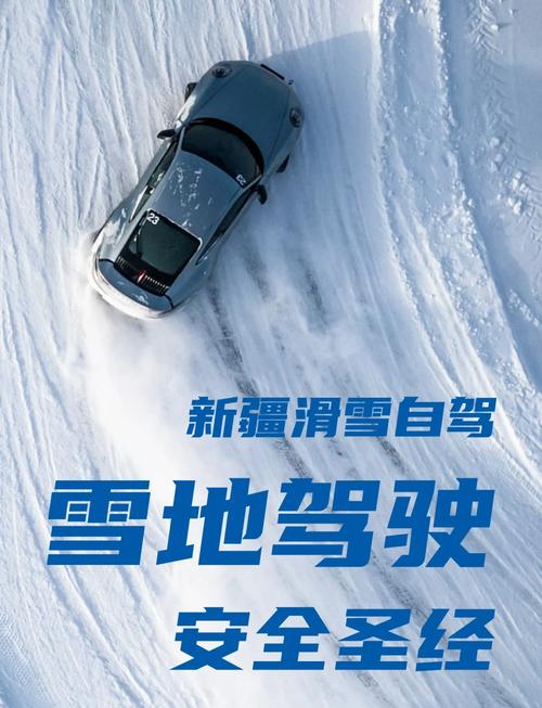 雪地求生太难？老司机教你几招轻松活下去！