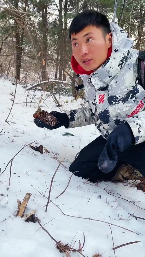 雪地求生太难？老司机教你几招轻松活下去！