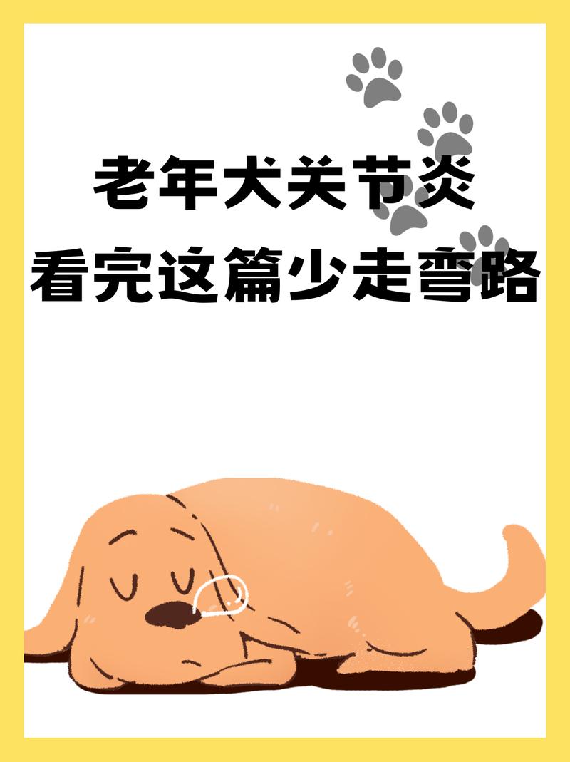 野兽与乡巴佬攻略秘籍：大神分享，让你少走弯路！