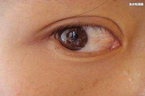 金科拉怎么样？听听用过的人怎么说，效果好不好？