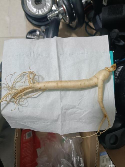 陆参状珑是啥？看完这篇介绍你就全明白了！