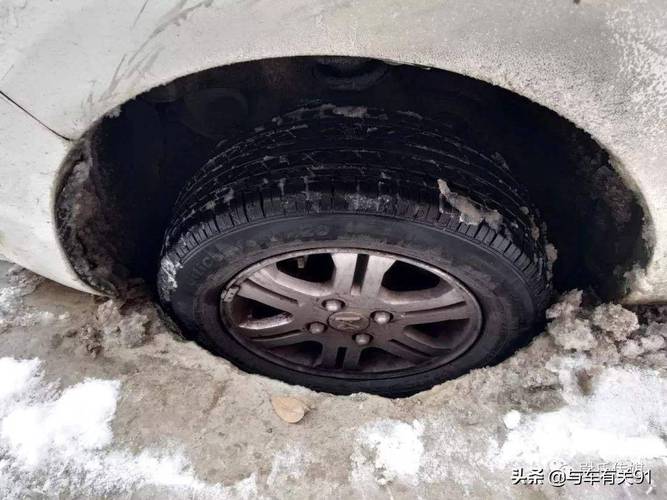 铁笼摔跤规则是什么？这篇文章一次给你讲清楚！