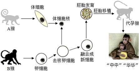空间克隆是什么？3分钟带你了解空间克隆技术！