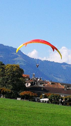 金色滑翔机测评来啦！优缺点对比分析一目了然！