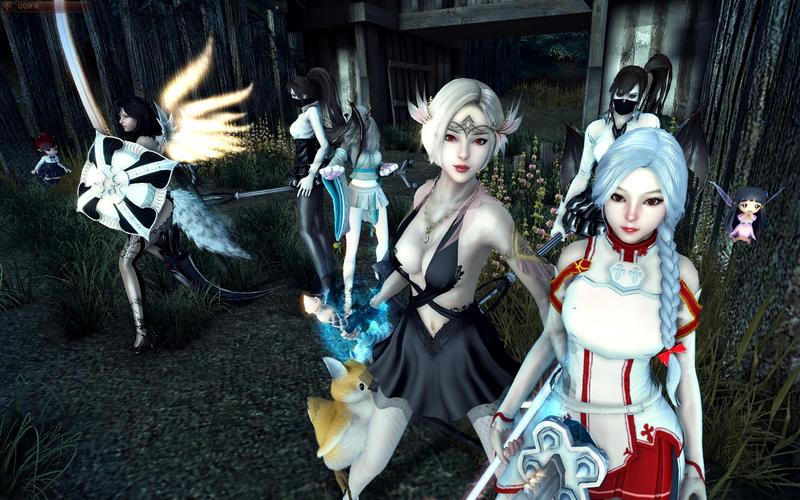 洛奇英雄传双剑加点方案，平民玩家也能轻松上手！