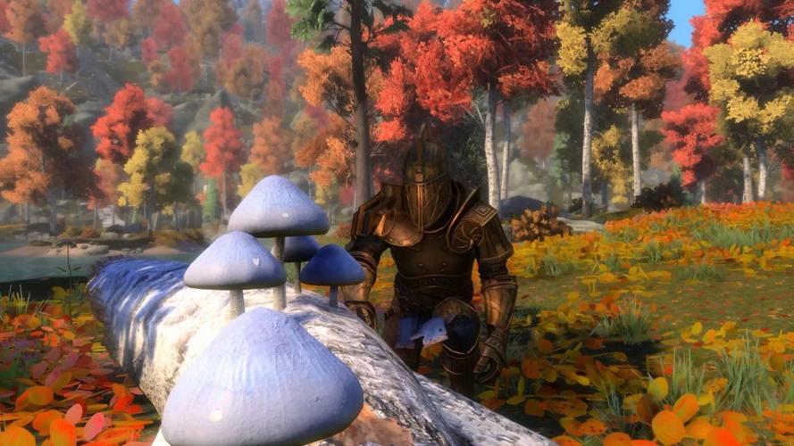 都说上古卷轴4好玩，到底好玩在哪儿？