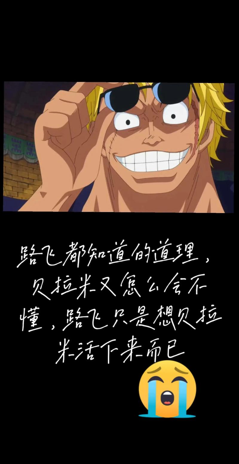 路飞vs贝拉米是第几集？这场战斗太精彩了！