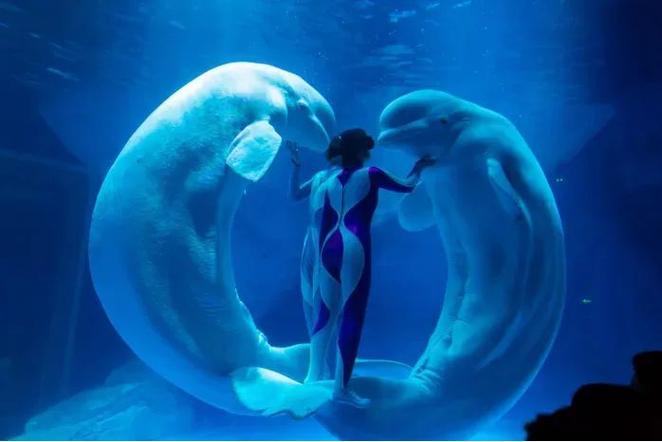 热门蓝色童帽小游戏推荐，一起探索童话世界！