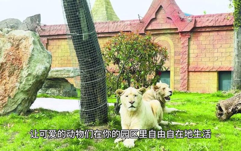 过山车大亨3野生动物园秘籍，你都知道哪些？