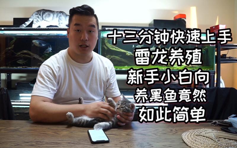 赛尔号里昂怎么培养?新手快速上手实用指南!