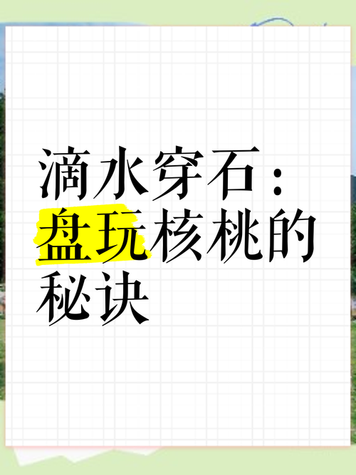 还在愁十滴水怎么玩？看完这篇攻略就会了！