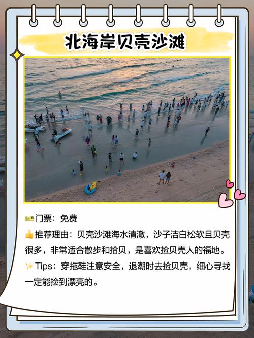 贝壳在哪能捡到？推荐几个好去处给你！