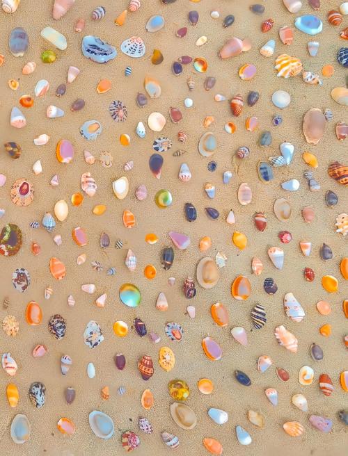 贝壳在哪能捡到？推荐几个好去处给你！