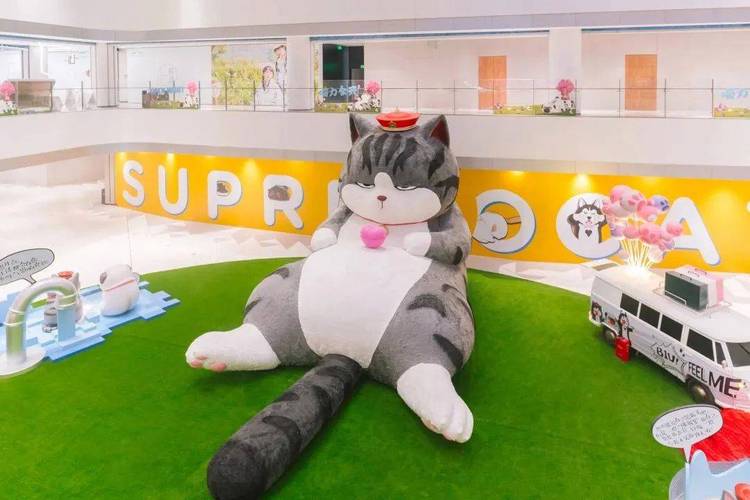 记录我家萌主喵皇日常？分享这些可爱又搞笑的瞬间！