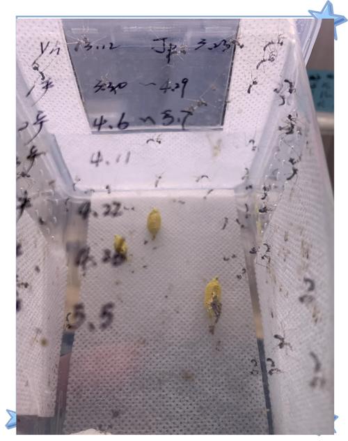 螳螂高原刷怪人多吗?几个冷门地点推荐给你!