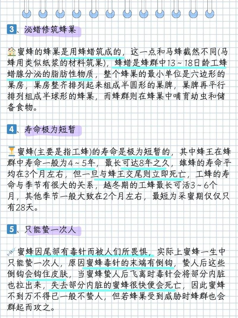 蜜蜂仔有什么用？这些用途你可能不知道！