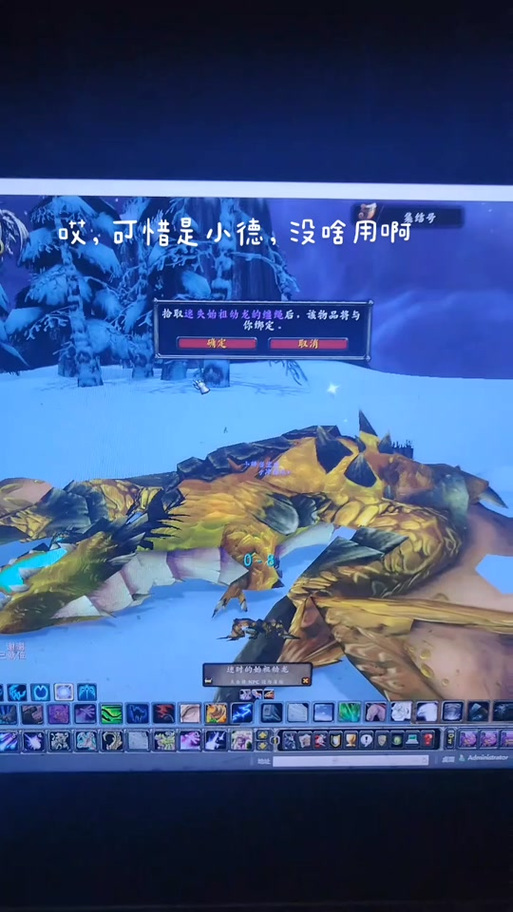 蓝色始祖幼龙的缰绳哪里掉？看完这篇你就懂了！