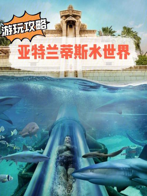 怪兽仙境攻略哪里找？看这篇就够用了！