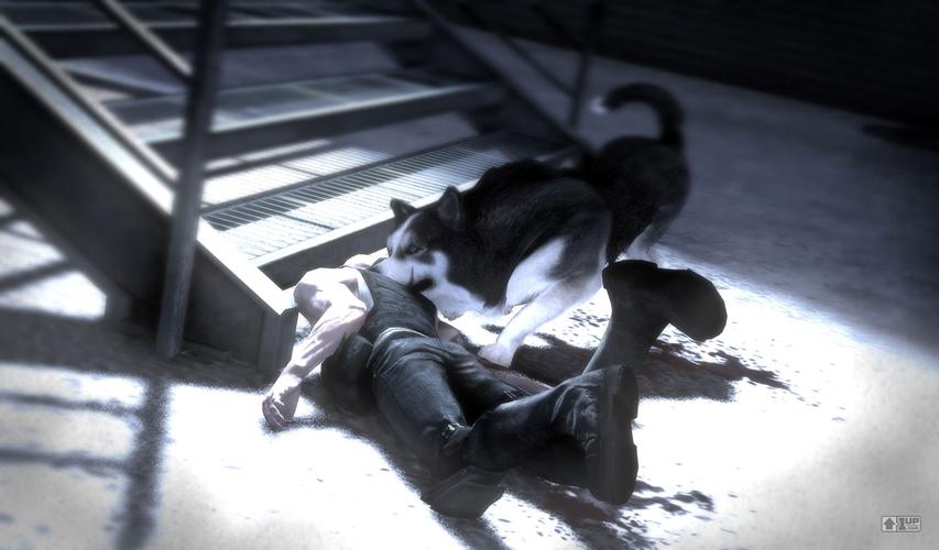 脱狱潜龙怎么玩?新手必看超详细攻略!