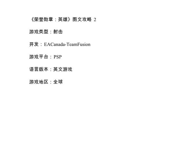 荣誉勋章2010攻略:全流程详细图文解说!