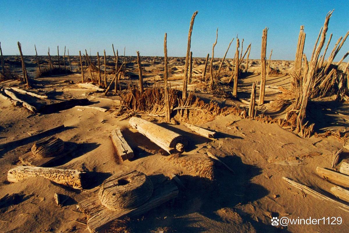 欧洲有无人区吗？探秘那些不为人知的神秘地带！