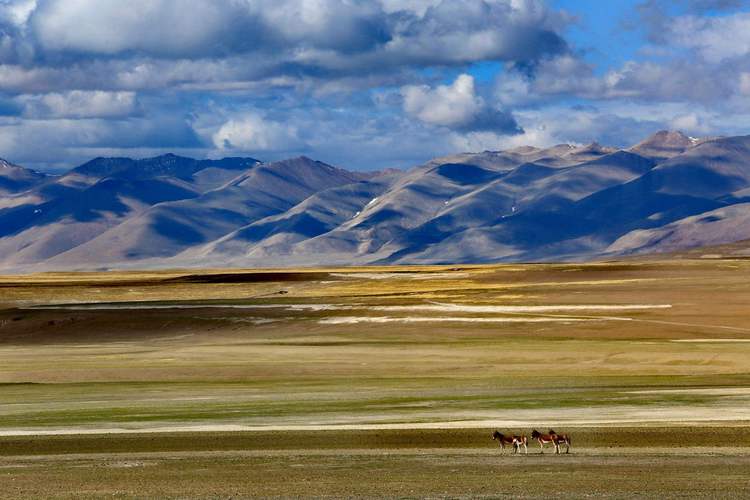 欧洲有无人区吗？探秘那些不为人知的神秘地带！