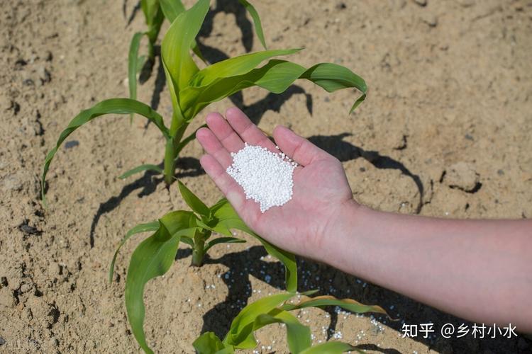 蚯蚓打结有什么预兆吗?老农教你判断!