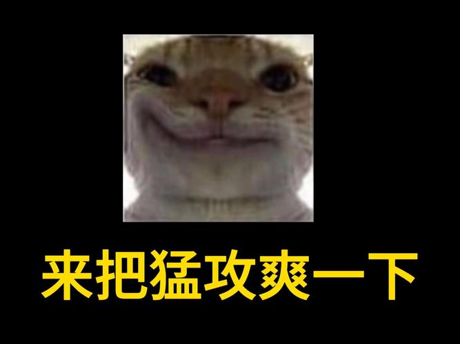 pis老鼠是什么?你想知道的都在这篇内容里!